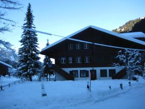 Schweiz ,Lenk Ferienwohnung,Kinderfreundl,Seniorenfreundlich