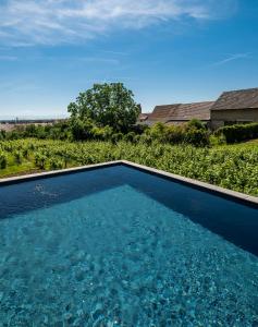 James Vignoble Hôtel - Eguisheim photo 18