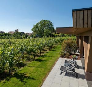 Hotels James Vignoble Hotel, Eguisheim : photos des chambres