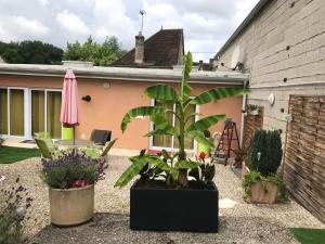 Maisons de vacances Loft l atelier de Jacques pres de Chablis : photos des chambres