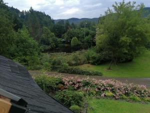 Bieszczady domek