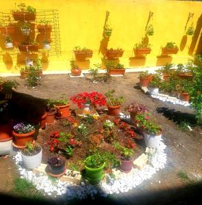 Къща за гости Вълчеви Несебър