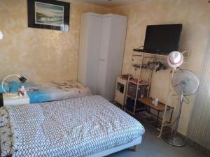 B&B / Chambres d'hotes Villa Les Marmottes : photos des chambres