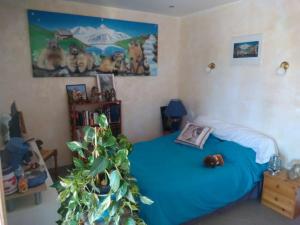 B&B / Chambres d'hotes Villa Les Marmottes : photos des chambres