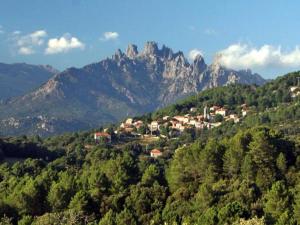 Appartements Les Hauts de Pinarello : photos des chambres