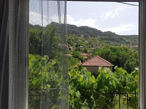 ELLI΄S HOUSE ΣΥΓΧΡΟΝΟ ΣΠΙΤΙ ΣΤΑ ΠΡΑΜΑΝΤΑ
