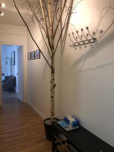 LE NID DES HALLES, au cœur du Boulingrin