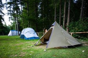 Forest Camping Mozirje