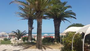 Hotel Silvi