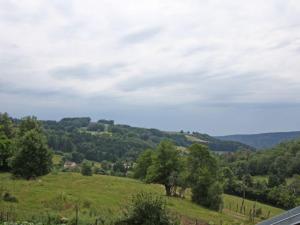 Maisons de vacances GITE LE PETIT SAUCELEY : photos des chambres