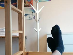 Bunk Bed in Mixed Dormitory Room room in Magic Mountain Lodge - Lyngen
