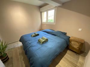 Villa Del Mar Bord de mer Palm Beach Cannes