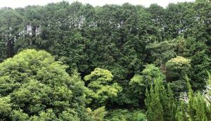 Youyousanso Apartment in Mie