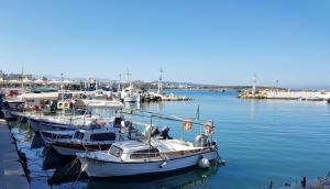 Filia Luxury Apartments