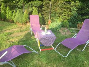 AGROTURYSTYKA U MADZI