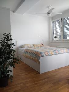 Apartma Rosmarino Koper