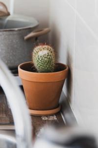 Roditsa Patritsia Apartments