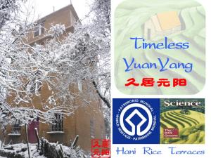 Timeless Hostel Yuanyang