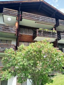 Schöne Ferienwohnung Nr.26 im Haus Opal