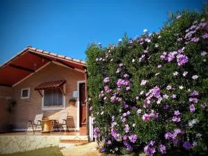 Recanto das Flores - Luminárias