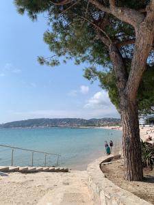 Superbe Studio Le pavois