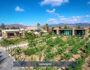 Entre Viñedos by Hotel Boutique Valle de Guadalupe