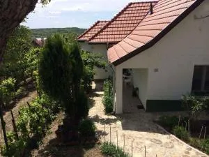 Holiday home in Tihany/Balaton 20236 - Tihany