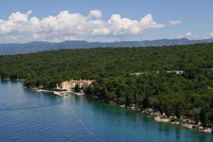 Two-Bedroom Apartment in Malinska XVI