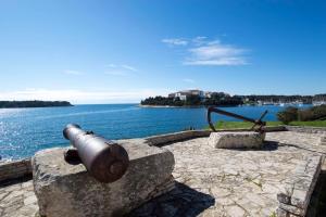 Studio in Pjescana Uvala - Istrien 11044