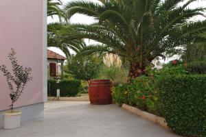 Apartment in Privlaka - Zadar Riviera 7894