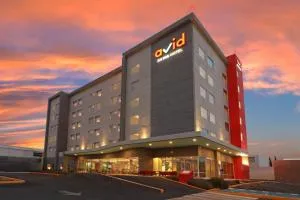 avid hotel - Fresnillo by IHG - Mezquitillo
