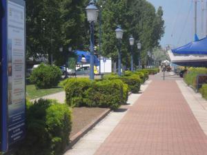 Apartment Balatonföldvar - Balaton 18519