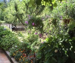 Apartment Lovran 21