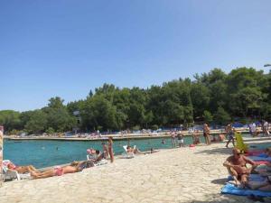 Apartment in Malinska 50