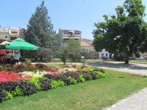 Apartment in Crikvenica 5379 