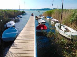 Holiday home in Szantod - Balaton 20220