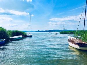 Holiday home in SzantodBalaton 20220