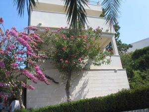 Apartment in Klek 6258