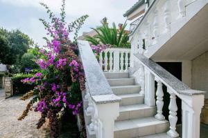 Apartment in Petrcane - Zadar Riviera 7842