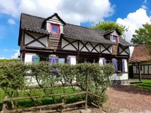 Holiday village - Matringhem