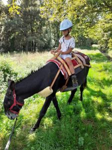 Maisons de vacances GITE EN COMMINGES : photos des chambres