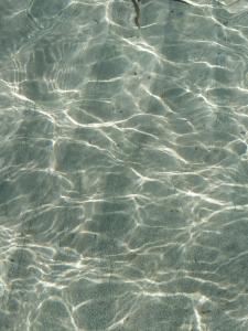 TERESA HOLIDAY img74