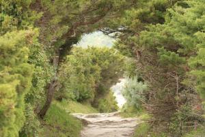 Villas Terra di sole : photos des chambres