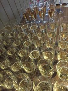 Marsfjäll Mountain Lodge Hotell i Saxnäs