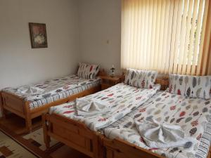 Guest House Stoletnika