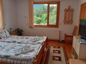 Guest House Stoletnika