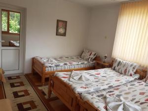 Guest House Stoletnika