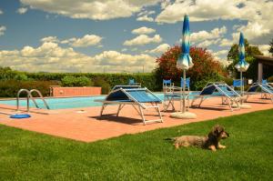 Agriturismo Le Grazie