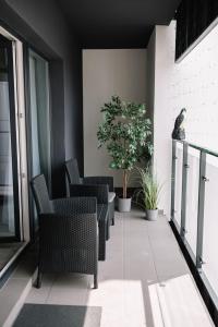 APARTAMENT BUŁGARSKA 60m23 POKOJEPIĘKNY WIDOK13 PIĘTRO 24H CHECK IN