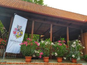 Antalóczy Winery&Apartments